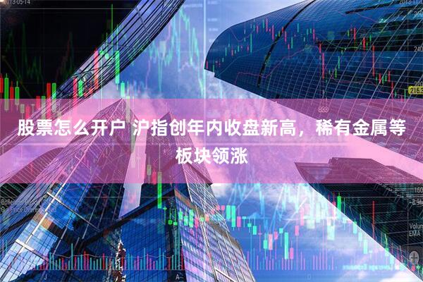 股票怎么开户 沪指创年内收盘新高，稀有金属等板块领涨