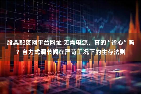 股票配资网平台网址 无需电源，真的“省心”吗？自力式调节阀在严苛工况下的生存法则
